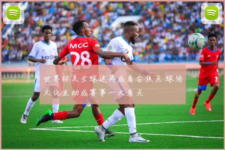 世界杯美女球迷再成看台焦点 球场文化互动成赛事一大看点