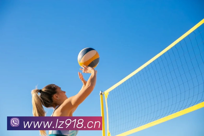 MG冰球突破·(中国)官方网站平台生态图